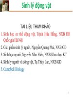 Bài giảng sinh lý động vật  chương 1   sinh lý máu