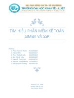 Tiểu luận Tìm hiểu phần mềm kế toán SIMBA và SSP