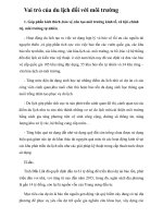 Vai trò của du lịch đối với môi trường