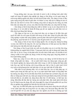 Đồ án tốt nghiệp - Lập hồ sơ gói thầu xây lắp nhà ở di dân giải phóng mặt bằng Xuân La