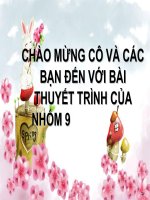 Ảnh hưởng của các chất tạo độ đục