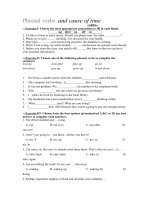 Phrasal verbs  and cause of time