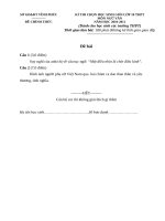 Đề thi HSG Văn 10. tỉnh VinhPhuc 2011