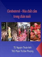 Clenbuterol – Hóa chất cấm trong chăn nuôi