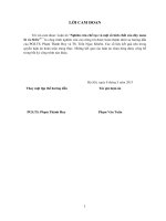 Nghiên cứu chế tạo và một số tính chất của dây nano Si và Si:Er3+