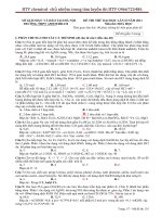 đề thi amsterdam- đáp án chi tiết