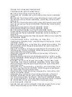 CÁC mức PHẠT VI PHẠM GIAO THÔNG mới NHẤT