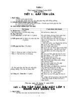 Giáo án lớp 2 ( các môn)