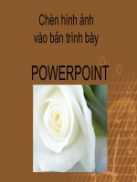 Hướng dẫn chèn ảnh vào Powerpoint