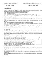 De cuong on tap HKII-VL11 2010-2011