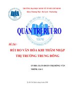 tiểu luận quản trị kinh doanh Rủi ro văn hóa khi thâm nhập thị trường Trung Đông