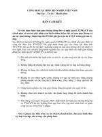 Tu lieu hoa xuong rong