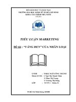 tiểu luận quản trị kinh doanh  VÀNG ĐEN” CỦA NHÂN LOẠI