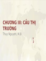 Slide môn quản trị giá trong doanh nghiệp: Chương 3: Cầu thị trường