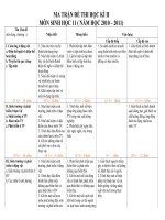 ma tran de thi sinh hoc 11 cb