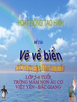 tao hinh  - ve  bien
