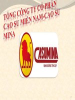 Bài thuyết trình tổng công ty cổ phần cao su miền nam   cao su mina