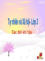 Bai : Cac doi khi hau lop 3