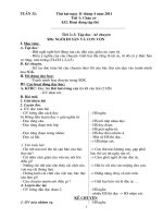 Giáo án lớp 3, 2 buổi / ngày chuẩn