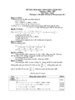 Đề thi HSG Toan 8 nam 2008