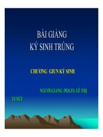 Bài giảng vi kí sinh trùng  giun ký sinh   HV y dược học cổ truyền VN