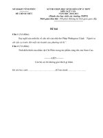 Đề Văn HSG 11 tỉnh Vĩnh Phúc 2011