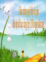 BÀI 21: PHONG TRÀO YÊU NƯỚC CỦA NHÂN DÂN VIỆT NAM TRONG NHỮNG NĂM CUỐI THẾ KỶ XIX