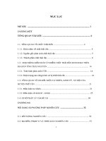 Kiểm soát ô nhiễm môi trường vùng nông nghiệp nông thôn huyện phổ yên, tỉnh thái nguyên đến năm 2020