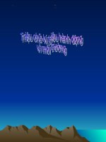 bai tieu luan ve van de moi truong