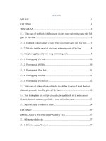 Nghiên cứu, chế tạo vật liệu xử lý nhóm nitơ trong môi trường nước trên cơ sở biến tính quặng pyrolusit tự nhiên