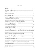 Nghiên cứu phân hủy cao su phế thải bằng phương pháp hóa nhiệt xúc tác