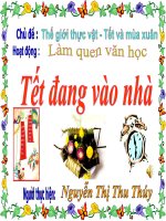 LQVH: Tết đang vào nhà