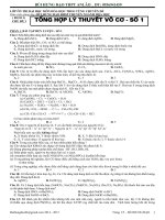 Chuyên đề lý thuyết vô cơ