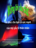 Những Lời Cầu Chúc