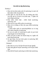Tổng hợp câu hỏi ôn tập quản trị Marketing