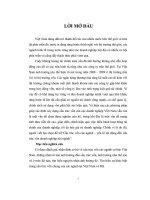 luận văn: Cấu trúc vốn của ngành – yếu tố tác động đến cấu trúc vốn doanh nghiệp nội ngành