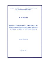 Nghiên cứu xác định giống và ảnh hưởng của mật độ đến sinh trưởng phát triển một số giống đậu tương rau tại thắng mố   yên minh   hà giang