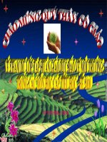 bài giảng GDBVMT phần 1