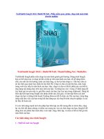 TechSmith SnagIt 10.0.1 Build 58 Full - Phần mềm quay phim, chụp ảnh màn hình chuyên nghiệp