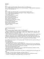 Ôn thi nhanh Văn THPT(Bộ Đề 5)