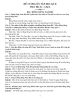 DE CUONG ON TAP DIA LY - LICH SU HKII