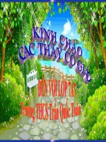 Tiết 54: Tiến hóa về tổ chức cơ thể (Ninh)