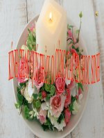 Bại 15 Địa lý 9 Thương Mại và Du lịch