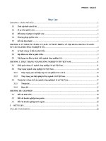 các vấn đề liên quan đến ngành công nghiệp ô tô và những định hướng phát triển trong thời gian tới của chính phủ
