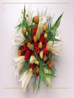 Tiết 45. Chỉnh sửa văn bản