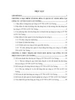 luận văn kế toán Hoàn thiện kế toán bán hàng và xác định kết quả bán hàng tại Công ty Cổ phần Thương Mại và Dịch Vụ Cát Tường