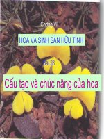 Bai 28: Cấu tạo và chức năng của hoa