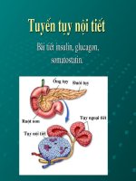 tài liệu về TUY NỘI TIẾT Y HỌC CỔ TRUYỀN