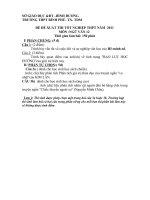 ĐỀ THI THỬ TỐT NGHIỆP MÔN VĂN 2011