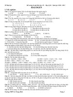 Đề cương Hóa 10NC-HKII